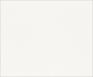 bt m platno za valjak 20000058096